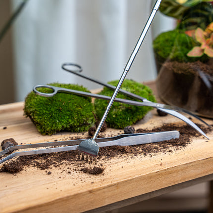 Terrarium Tools Bundle