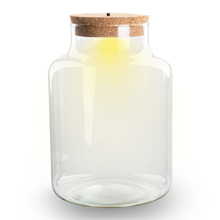 Terrarium Flasche ‘Little Milky’ - inkl. LED-Korken - Geschlossenes Terrarium Ø 25 cm ↑ 17 cm