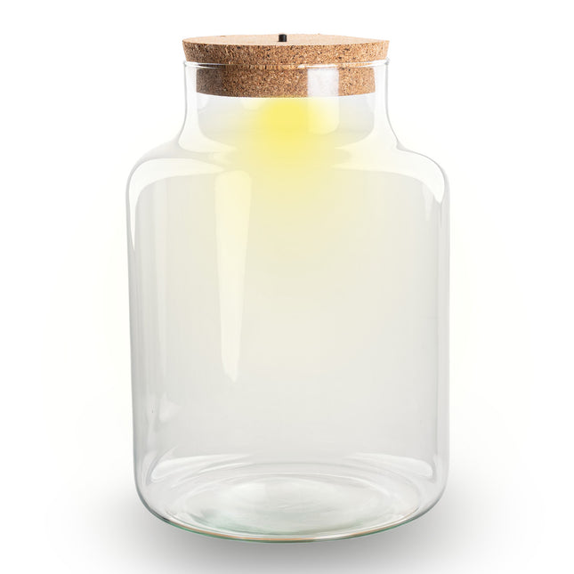 Terrarium Flasche ‘Little Milky’ - inkl. LED-Korken - Geschlossenes Terrarium Ø 25 cm ↑ 17 cm