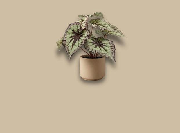 Artificial plants