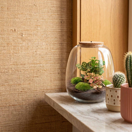 Emma - Coffea Red - Terrarium with light - Bottle garden DIY kit - Ø 23 cm ↑ 25 cm