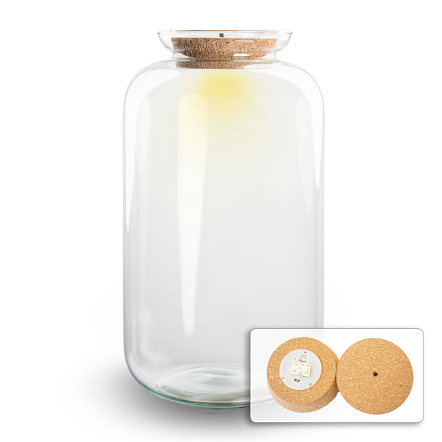 Terrarium Flasche ‘Sven XL’ - inkl. LED Korken - Geschlossenes Terrarium Ø 23 cm ↑ 43 cm