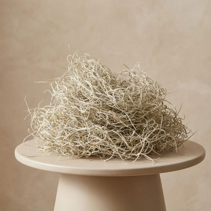 Dried Tillandsia Moss – 1L – Decorative - 100% Natural