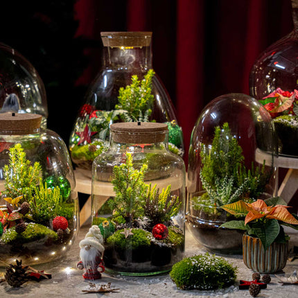 Tinsel Winter Terrarium – DIY Flaschengarten – Ø 19 cm ↑ 20 cm