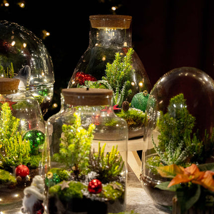 Evergreen - Christmas terrarium - Bottle garden DIY kit - Ø 20 cm ↑ 22 cm