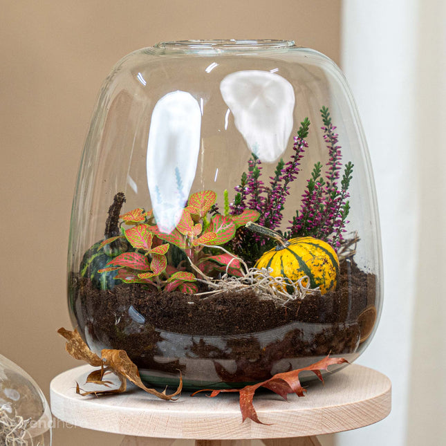 Emma Autumn (Halloween) - Glass bottle with Autumn plants and mini pumpkins - Autumn Bottle garden DIY kit - Ø 23 cm ↑ 25 cm