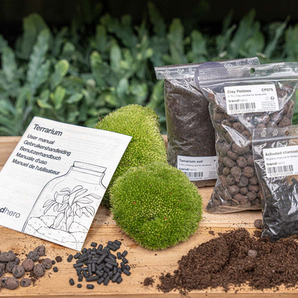 Pflanzenterrarium – Nachfüllset – Starterset – DIY – Größe S/M
