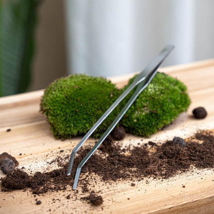 Tweezer for terrarium