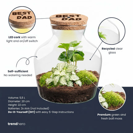 Father's Day terrarium Little Joe + Custom engraved cork with light - Bottle garden DIY kit - Ø 20 cm ↑ 22 cm