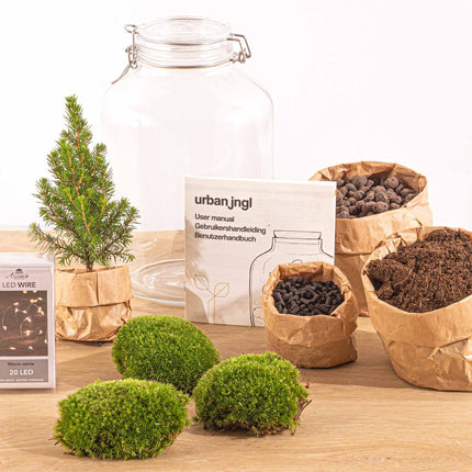 Jar Terrarium Kit - Table Christmas Tree - Bottle Garden - With Lighting - ↑ 28 cm