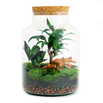 Terrarium DIY Kit - Milky Palm - Bottle Garden - ↑ 30 cm