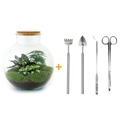 Terrarium DIY Kit - Bolder Bob - Bottle Garden - ↑ 30 cm