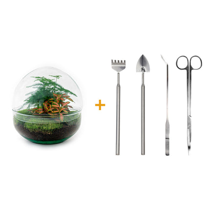 Kit fai da te terrario • Cupola • Ecosistema con piante • ↑ 20 cm