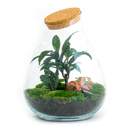 Terrarium DIY Kit - Drop XL Palm - Bottle Garden - ↑ 37 cm