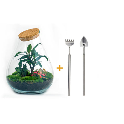 Terrarium DIY Kit - Drop XL Palm - Bottle Garden - ↑ 37 cm