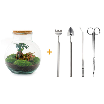 Kit DIY Terrario • Peluche • Ecosistema con plantas • ↑ 26,5 cm