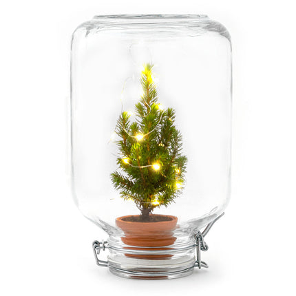 Easyplant - Mini Christmas Tree - DIY Terrarium Kit - ↑ 28 cm