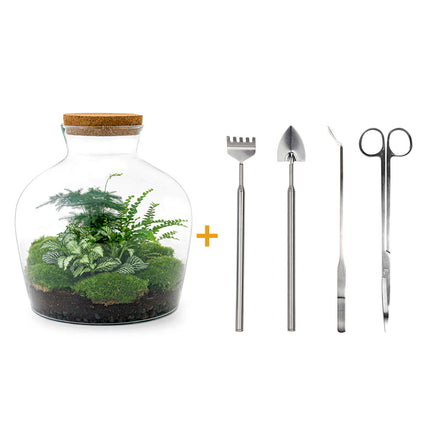Terrarium DIY Kit - Fat Joe Green - Bottle Garden - ↑ 30 cm