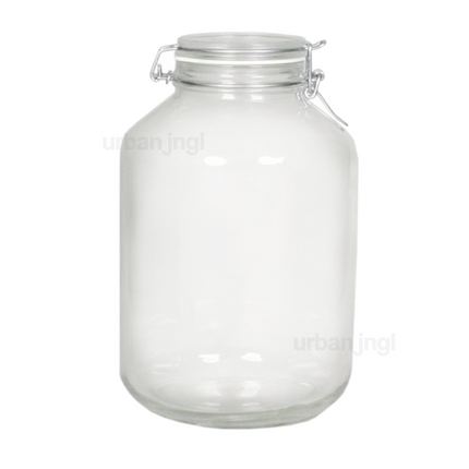 Weck jar Fido - 5 liters | Closed terrarium ↑ 28 cm