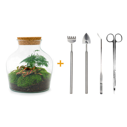 Kit DIY Terrarium • Little Joe • Écosystème avec plantes • ↑ 21,5 cm