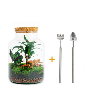Terrarium DIY Kit - Milky Palm - Bottle Garden - ↑ 30 cm