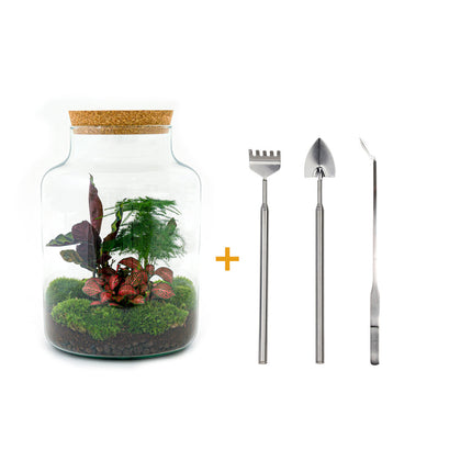 Kit DIY Terrario • 'Milky' • Ecosistema con plantas • ↑ 30 cm