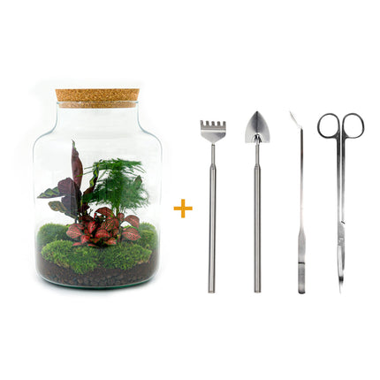 Terrarium DIY kit • 'Milky' • Écosystème avec plantes • ↑ 30 cm