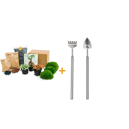 <tc>Paquet de terrarium pour plantes Coffea Arabica - Refill & Starter package Kit de recharge de terrarium DIY</tc>