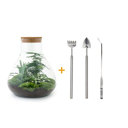 Kit DIY Terrario • Sam XL • Ecosistema con plantas • ↑ 35 cm