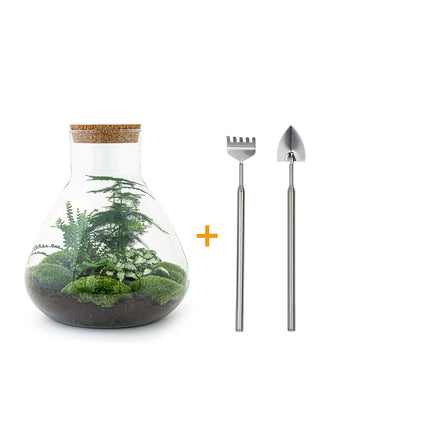 Kit DIY Terrarium • Sam XL • Écosystème avec plantes • ↑ 35 cm