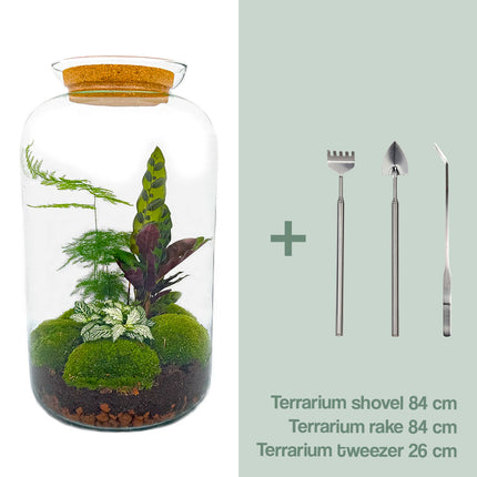 Terrarium DIY Kit - Botanical Sven XL - Bottle Garden - ↑ 43 cm