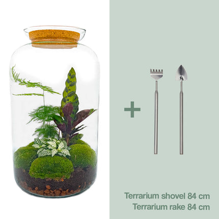Kit fai da te terrario • Botanical Sven XL • Ecosistema con piante • ↑ 43 cm