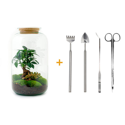 Flaschengarten - Sven Bonsai - Ökosystem mit Pflanzen - ↑ 43 cm