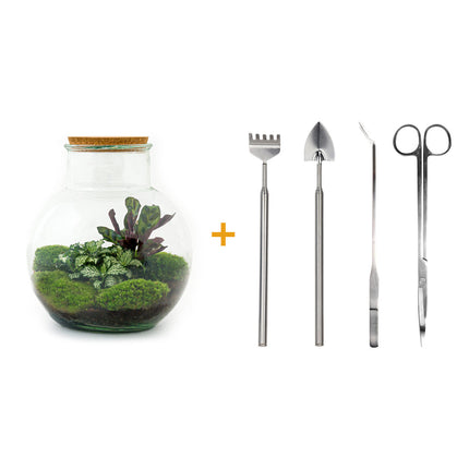 Kit DIY Terrario • Peluche • Ecosistema con plantas • ↑ 26,5 cm