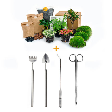 Plant terrarium package - Jungle 5 - Refill & Starter package - DIY Terrarium Kit