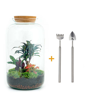 Terrarium DIY Kit - Sven Palm - Bottle Garden - ↑ 43 cm