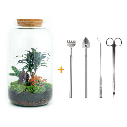 Terrarium DIY Kit - Sven Palm - Bottle Garden - ↑ 43 cm
