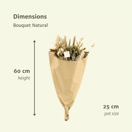 Trockenblumen - Bouquet Natural - Trockenstrauß - 60cm - Ø25
