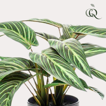 Calathea Zebrina - Schattenpflanze - 38 cm - Kunstpflanze
