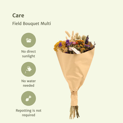 Trockenblumen - Field Bouquet Multi - Trockenstrauß - 60cm - Ø25