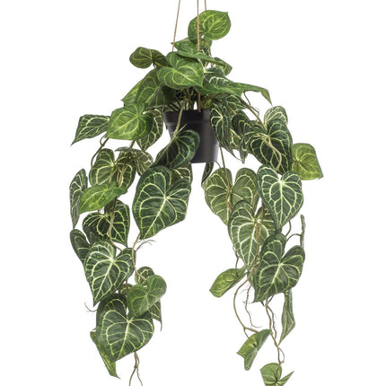 Anthurium Clarinervium - Venenpflanze - 80 cm - Kunstpflanze