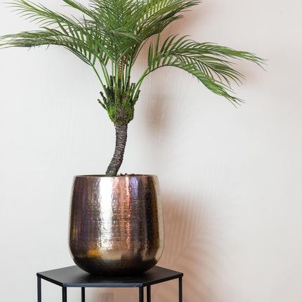 Chamaedorea - Mountain palm - 85 cm - Artificial plant