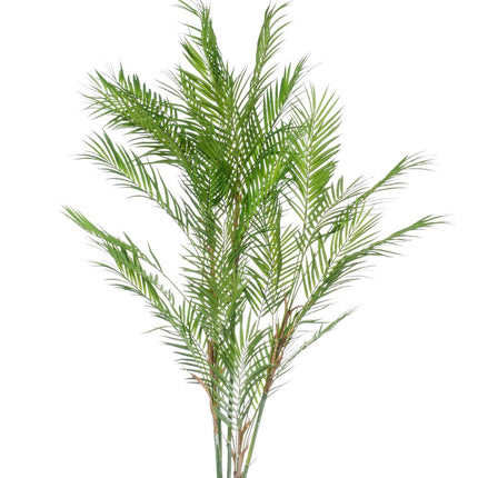 Chamaedorea Elegans - Mountain palm - 120 cm - Artificial plant