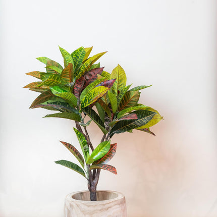 Croton Codiaeum - Miracle Shrub - 110 cm - Artificial plant