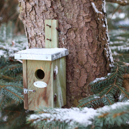 Nest box - Wren  | ↑ 25 cm | Birdhouse | Pinewood and zinc